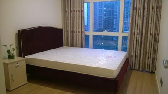 apartment for rent in district 2 u D201041 (11)